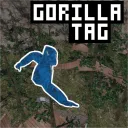 CTGF | Competitive Gorilla Tag Forest