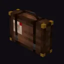 CASE