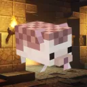 🦔Norka jeża🦔