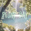 Peony Bay!