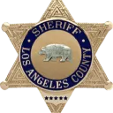 Los Angeles Sheriff Department | Flow RP