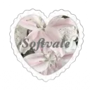 ｡ﾟ𖥔 𓂃 softvale 🌷 𓈒˗ˏˋ