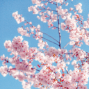 Eternity Discord server icon