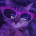 𝓕𝓮𝓶𝓫𝓸𝔂 𝓦𝓲𝓯𝓲 💜's icon