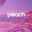 Peach Aviation.rblx