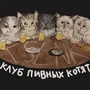 Бабиджоновы хранители семян Discord server icon