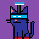 Pyzel Cats