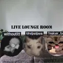 Live Lounge Room