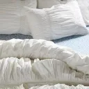 𝓊𝓃𝒹𝑒𝓇 𝓉𝒽𝑒 𝒹𝓊𝓋𝑒𝓉