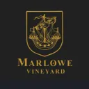 Domaine Marlowe Vineyard - LS