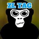 ZL TAG