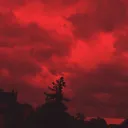 β₯ πππ πππ’ TikTok LIVE β₯