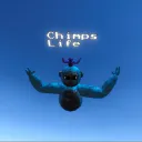 Chimps Life