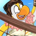 Super Penguin