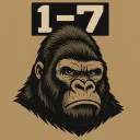 1-7 Official Teaching Server