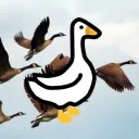 Goose.re - Short URLs, Bio Pages & QR-Codes