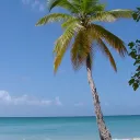 South Florida Hookup