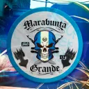 MARABUNTA | SpaceNew RP