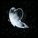 Silver butterfly