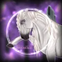 Silent Spirit Dressage - Disbanded