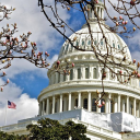 PHGS | Political Haven Government Simulator Discord server icon