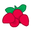 MCRasp development