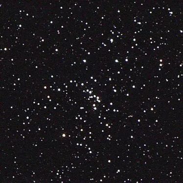 StarDust — monitoramento do servidor Discord, estatísticas e classificação