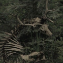 Furry friends get-away spot Discord server icon