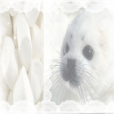 𓂃ㆍ♰ㆍ𝘴eal palace Discord server icon