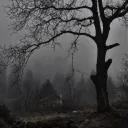 ⋉ 𝐖OOD 𝐕ALLEY - 𝑹𝑷/𝑹𝑷𝑮