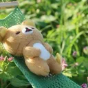 ⋆˚꩜｡ garden's above
