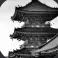 ✦ Yorii's Estate