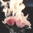 Sweet Little Unforgettable Things ¹⁸+