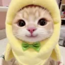 Server icon for 🌙✨ 𝓜𝓸𝓸𝓷 𝓒𝓪𝓯𝓮 ✨☕