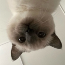 soap on the boat Discord server icon