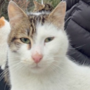 Underrated Discord server icon