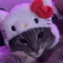 Kitty RNG