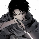 Levi guild