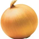 The funny onions