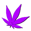 Outlaw Farms Cultivation Club