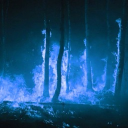 Storms of Ice and Fire - Wings of Fire RP