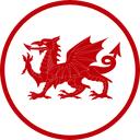 Red Dragon Line | RDL Discord Server Icon