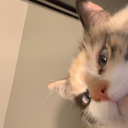 𝙾𝚕𝚕𝚢'𝚜 𝙲𝚊𝚟𝚎 Discord server icon