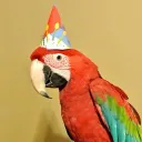Party Central