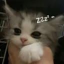 𐔌  ⌞   𝔰𝔩𝔢𝔢𝔭 𝔠𝔞𝔩𝔩𝔦𝔫𝔤 ..   ⌝  ⸝⸝  ⋆ Discord server icon