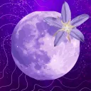 ECLIPSE | Designs