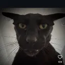 Angry Larry's discord icon