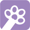 Paws at You