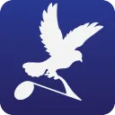 Pigeon Community