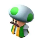 The Church Of Toad